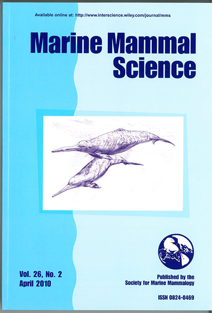 Book Cover Design