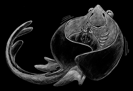 Mother Manta