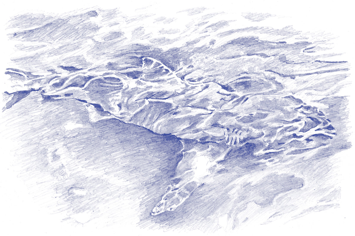 Pencil on Paper - Blue Print