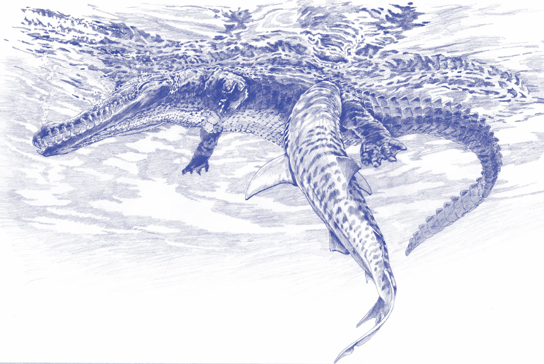 Pencil on Paper - Blue Print