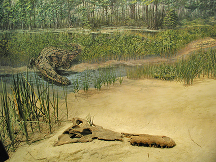 Prehistoric Crocodile Diorama Exhibit Prehistoric Crocodile Diorama Exhibit