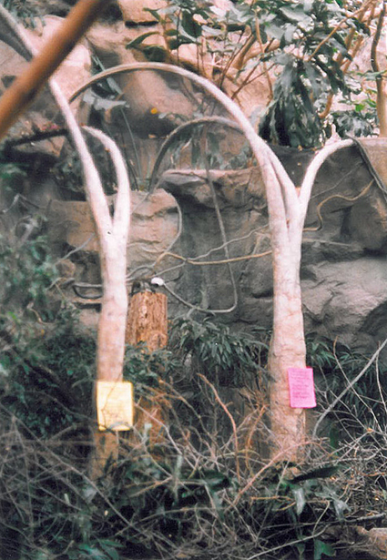 Enclosure - Exhibit environment Enclosure - Exhibit environment