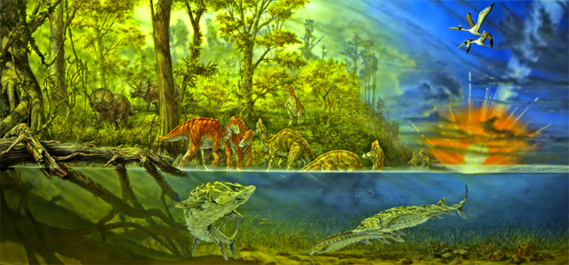 Part of a Paleontology Exhibit