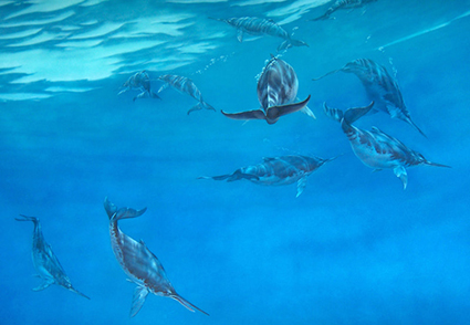 Mural detail segment of 
a Megladon Shark exhibit