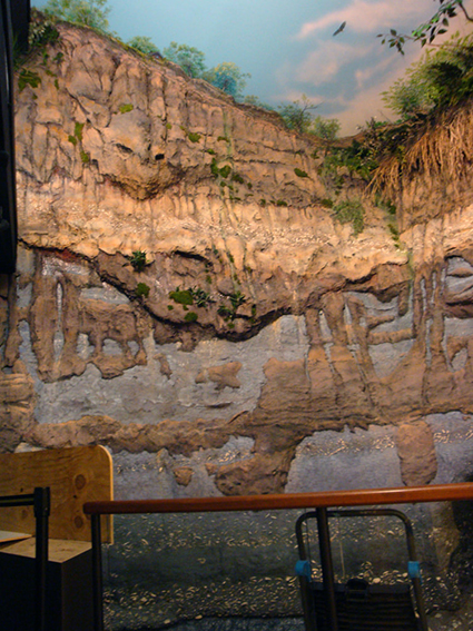Calvert Cliffs Exhibit Calvert Cliffs Exhibit