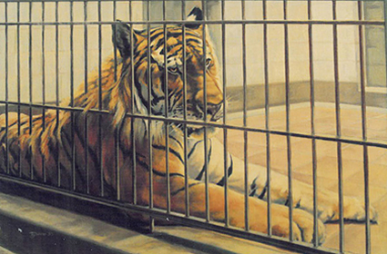 Oil on Canvas
